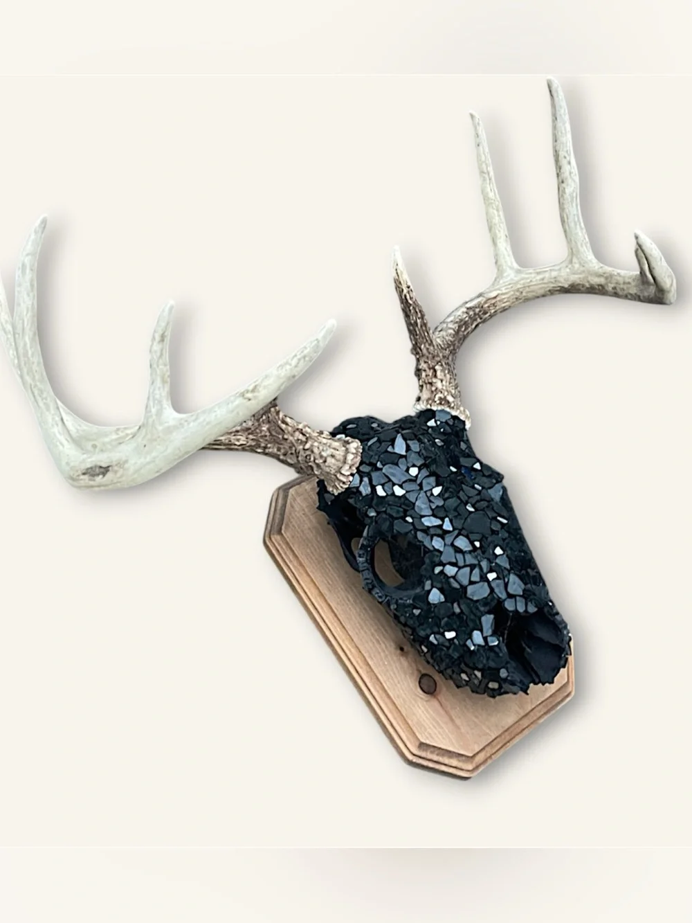 Black Fireglass Bedazzled Deer Skull Wall Art Home Decor Boho taxidermy